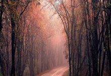 弗拉霍维奇阿贾克斯下半场（弗拉霍维奇什么水平）