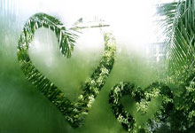 弗拉霍维奇阿贾克斯下半场（弗拉霍维奇什么水平）