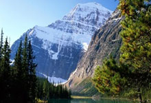 弗拉霍维奇阿贾克斯下半场（弗拉霍维奇什么水平）