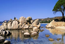 弗拉霍维奇阿贾克斯下半场（弗拉霍维奇什么水平）